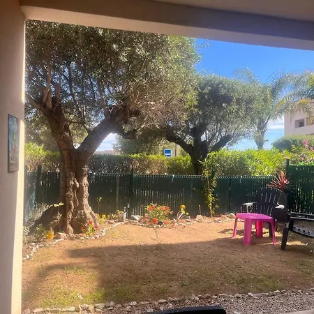 T2 Terrasse Et Jardin